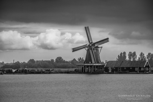 2023-08-15_Amsterdam-3298.jpg
