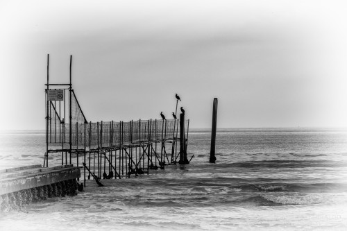 2026-01-03-Jesolo-3709-638.jpg