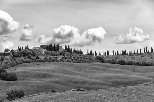 2026-05-09---Toscana-6483-682.jpg