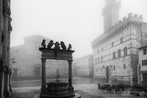 2026-05-10---Toscana-6584-Mod.jpg