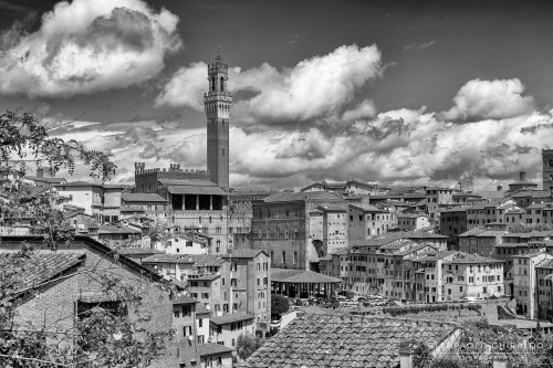 2026-05-11---Toscana-6945-Mod.jpg