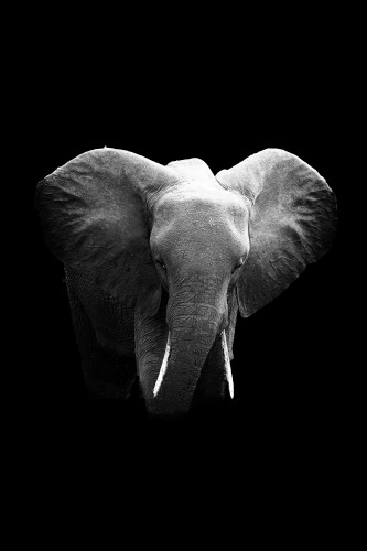 Tanzania26-1227-759.jpg