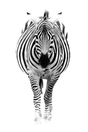 Tanzania26-9187-767.jpg