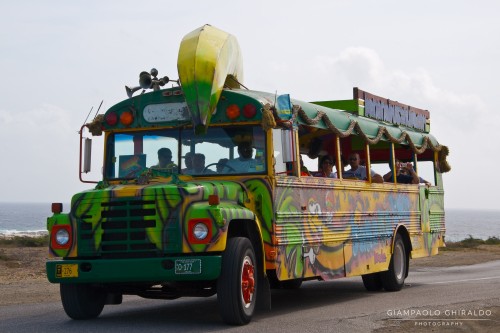 20090400_Aruba_6894.jpg