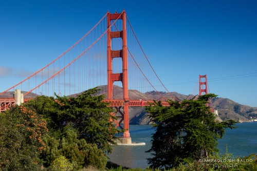 20131913_Sfo_e_Vegas_4929.jpg