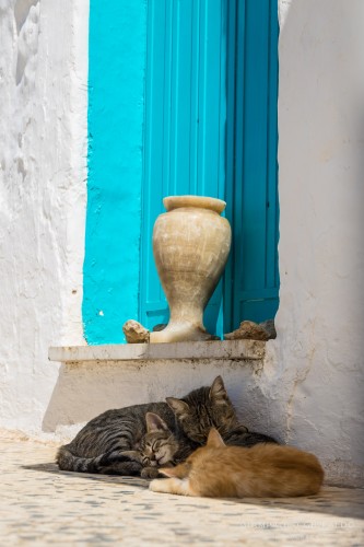 2021-09-14---Ostuni-9027.jpg