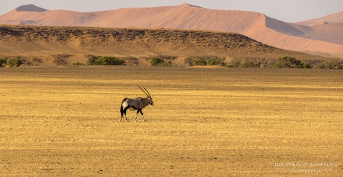 2022-09-15_Namibia_Gia-0072.jpg