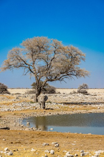 2022-09-22_Namibia_Gia-1716.jpg