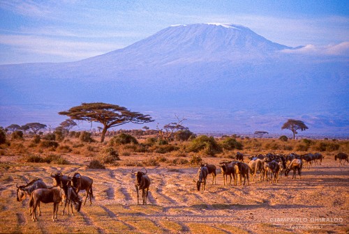 20030821_Kenya_061-2.jpg