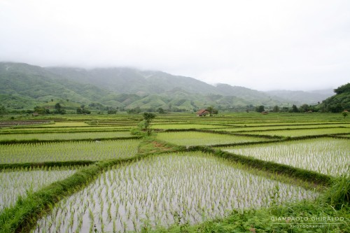 20060700_Thai_4073.jpg