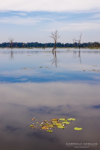2023-11-19_Siem_Reap-5013.jpg
