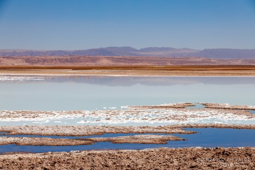 2025-10-13-Cile_Bolivia_2025-0513.jpg