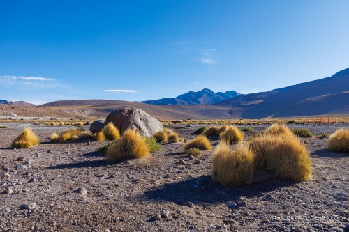 2025-10-14-Cile_Bolivia_2025-0895.jpg