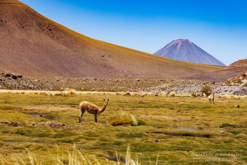2025-10-14-Cile_Bolivia_2025-1044.jpg