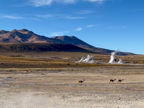 2025-10-14-Cile_Bolivia_2025-2965.jpg