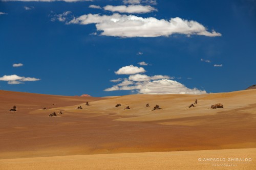 2025-10-15-Cile_Bolivia_2025-1288.jpg