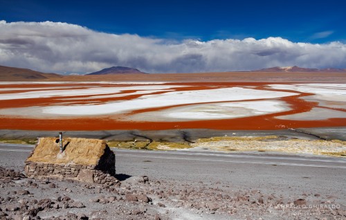 2025-10-15-Cile_Bolivia_2025-1387.jpg