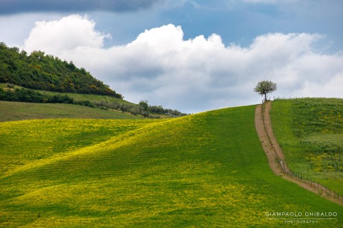 2026-05-08---Toscana-6162.jpg