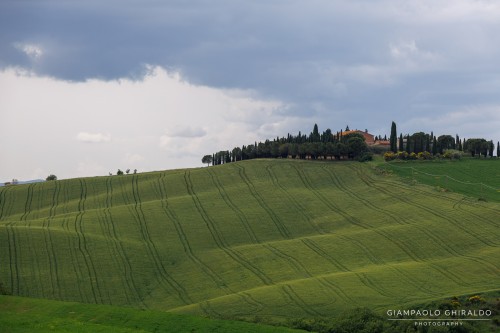 2026-05-09---Toscana-6490.jpg