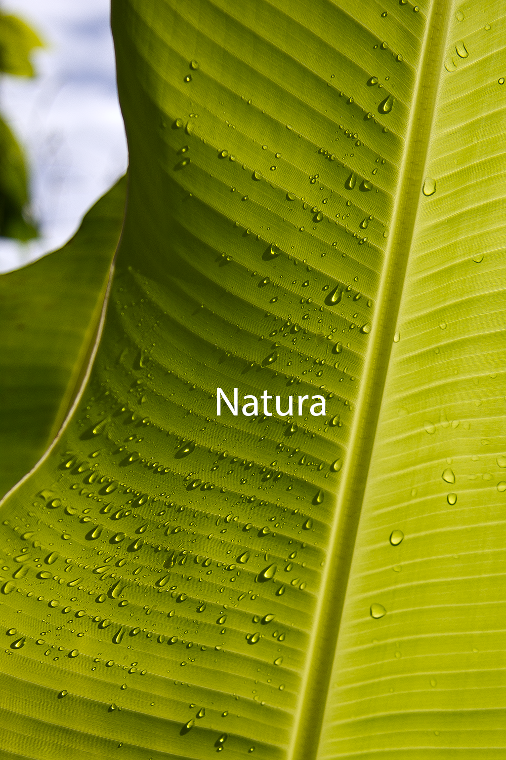 Natura