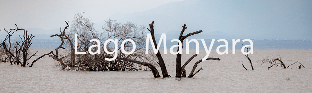Lago Manyara
 Hero