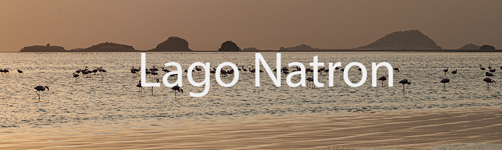 Lago Natron
 Hero
