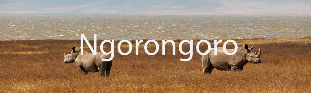 Ngorongoro
 Hero