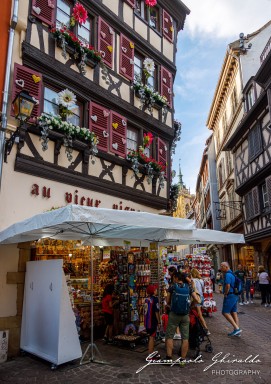 2023-08-08_Colmar-2469.jpg