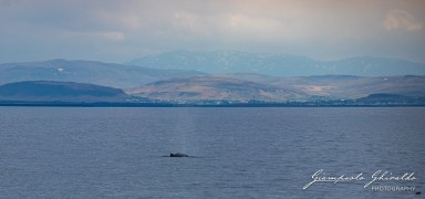 2019-05-18---Islanda-6291.jpg