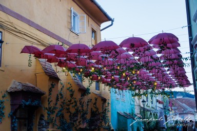 2024-08-17_Sighișoara-1262.jpg