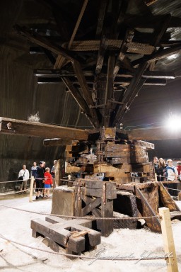 2024-08-17_Turda-1157.jpg