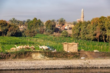 2025-02-17_Egitto-2582.jpg