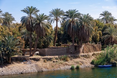 2025-02-17_Egitto-2701.jpg