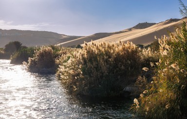 2025-02-18_Egitto-3071.jpg