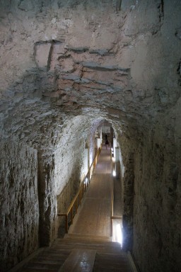 2025-02-16_Egitto-2320.jpg