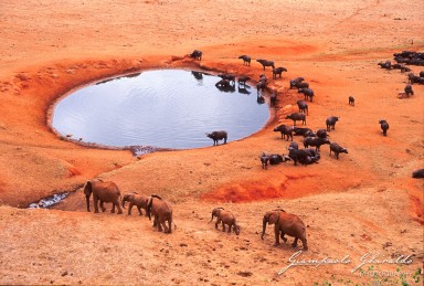 20030821_Kenya_136b.jpg