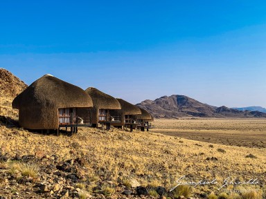 2022-09-14_Namibia_Ant-4672.jpg