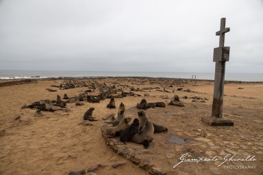 2022-09-18_Namibia_Gia-0735.jpg