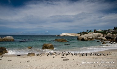 20091206_SudAfrica_8079.jpg
