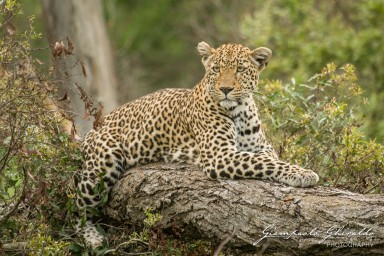 20091206_SudAfrica_8205.jpg