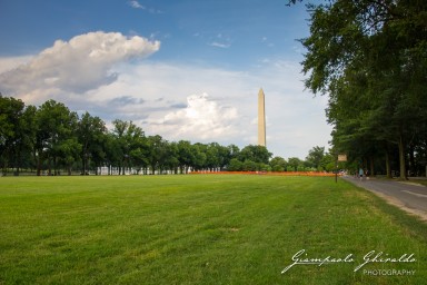 2016-07-23_USA2016-0037-2.jpg