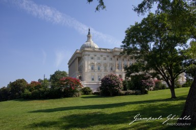 2016-07-24_USA2016-0114.jpg