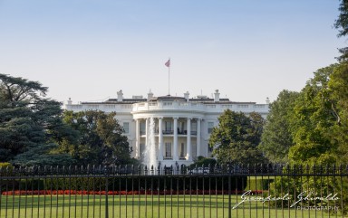 2016-07-24_USA2016-0226.jpg