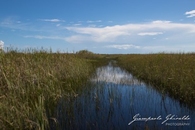 2018-08-22_Florida-5126.jpg