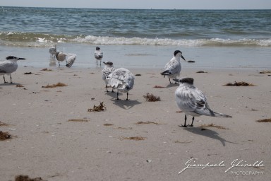 2018-08-24_Florida-5285.jpg