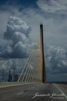 2018-08-25_Florida-5437.jpg