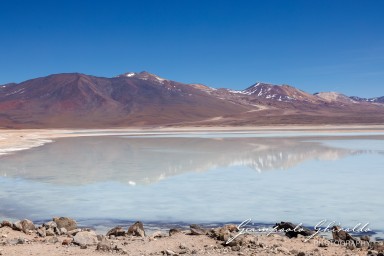 2025-10-15-Cile_Bolivia_2025-1212.jpg