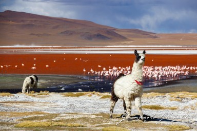 2025-10-15-Cile_Bolivia_2025-1517.jpg
