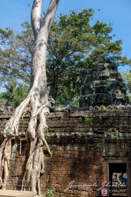 2023-11-18_Siem_Reap-4740.jpg