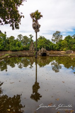 2023-11-19_Siem_Reap-5027.jpg